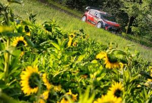 Гонщики WRC пожаловались на маршрут Ралли Германия