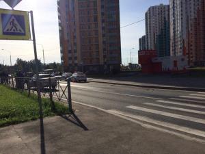 Под Петербургом спешившие на вызов полицейские сбили трехлетнего ребенка на «зебре»