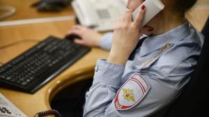 Иномарку за 4,7 млн руб угнали с парковки торгового центра в новой Москве