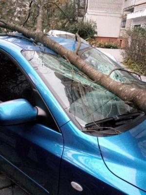 Ураган в Украине. Разбитые авто и перекрытые дороги