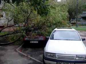 Ураган в Украине. Разбитые авто и перекрытые дороги