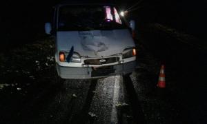 Под Оршей Ford Transit насмерть сбил женщину