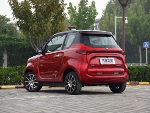 2017 Zhidou D3
