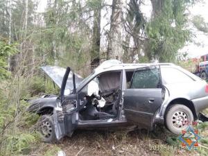 В Дрибинском районе Audi врезалась в дерево: водитель погиб