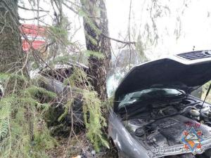 В Дрибинском районе Audi врезалась в дерево: водитель погиб