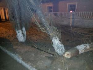 Полицейским пришлось таранить авто с пьяным угонщиком в Павлодаре
