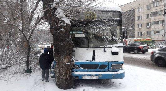 Автобус въехал в дерево в Алматы: пострадали 4 пассажира