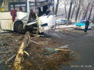 Автобус в Алматы столкнулся с деревом — пострадали восемь пассажиров 
