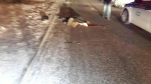 Пешеход в Алматы погиб в десяти метрах от надземного перехода