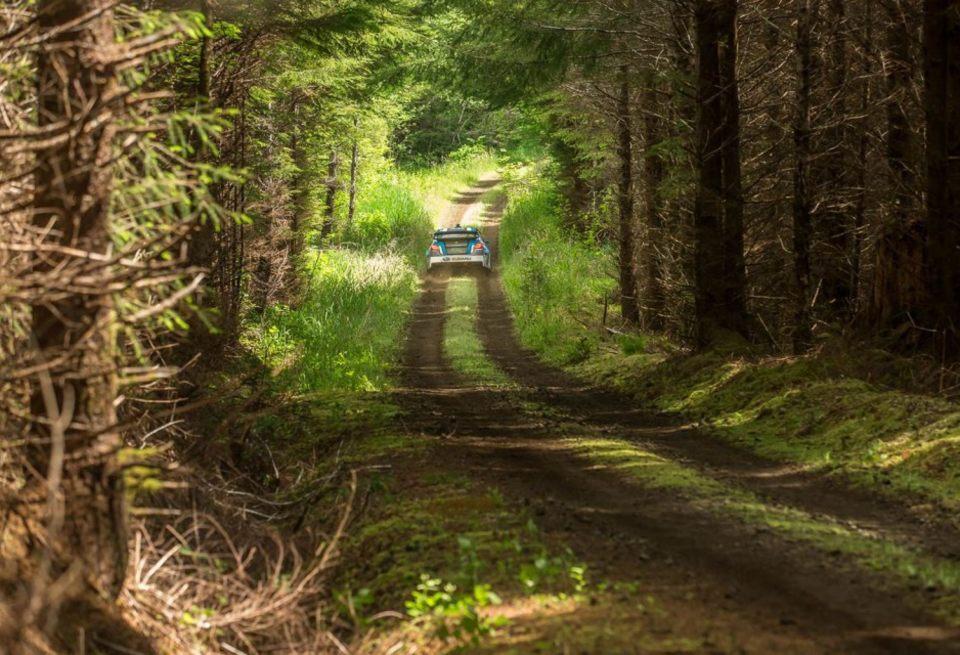 В Канаде изучают возможность проведения этапа WRC