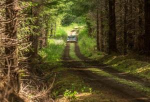 В Канаде изучают возможность проведения этапа WRC