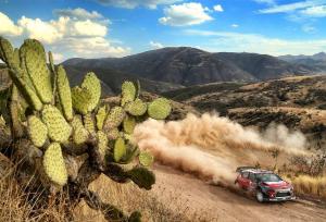 Себастьен Лёб хочет просто насладиться гонками в WRC