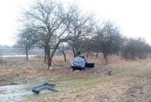 Под Кобрином Mercedes при обгоне вылетел в кювет и врезался в дерево: пострадали два человека

