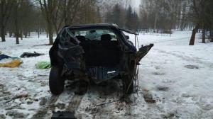 Пьяный водитель на Citroen вылетел с дороги и врезался в дерево
