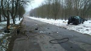 Пьяный водитель на Citroen вылетел с дороги и врезался в дерево