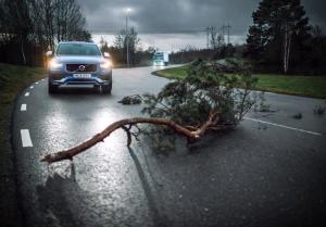 Легковые и грузовые Volvo будут «общаться» между собой
