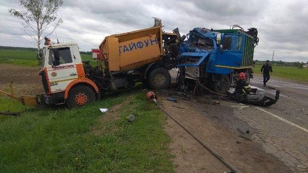 Грузовик всмятку: под Бешенковичами в ДТП погиб рабочий дорожной службы