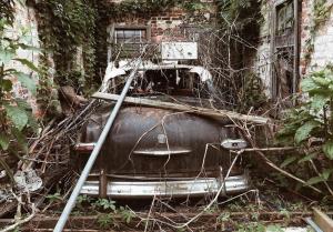 Ураган помог найти в заброшенном гараже раритетный 69-летний Ford