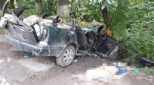 Водителя и пассажира авто убило упавшим деревом близ Алматы