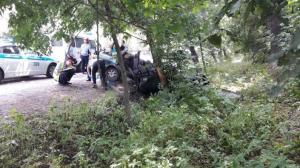Водителя и пассажира авто убило упавшим деревом близ Алматы