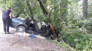 Водителя и пассажира авто убило упавшим деревом близ Алматы