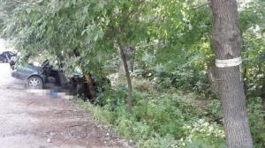 Водителя и пассажира авто убило упавшим деревом близ Алматы