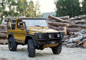 Mercedes-Benz G-Class Wolf