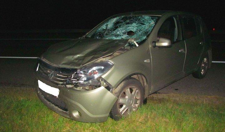 В Борисовском районе насмерть сбили пешехода