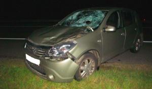 В Борисовском районе насмерть сбили пешехода