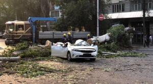 Огромное дерево рухнуло на авто в Алматы