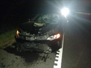 Под Слуцком Toyota насмерть сбила пешехода