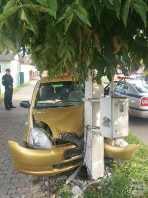 2,22 промилле с утра. В Молодечно пьяная женщина на Toyota с ребенком в салоне врезалась в столб