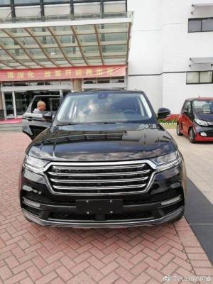 Zotye T900