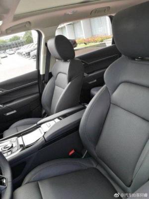 Zotye T900