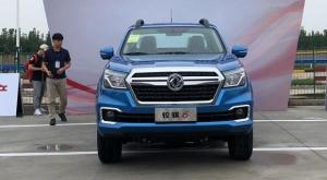 Dongfeng Ruijing 6