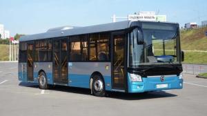 Российский рынок автобусов обвалился в августе