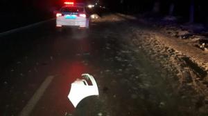Мужчина погиб под колесами KIA в Алматы