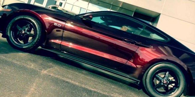 Дилер Ford предлагает агрессивный 800-сильный Mustang
