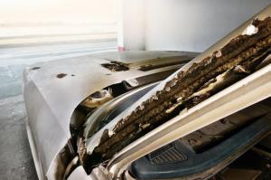 BMW 530 MLE