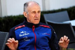 В Toro Rosso с оптимизмом ждут следующего сезона