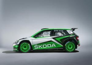 2019 Skoda Fabia R5