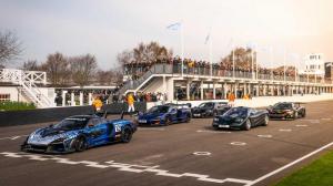 McLaren Senna GTR дебютировал в Гудвуде