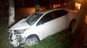 В дерево на полном ходу врезалась алматинка на Toyota