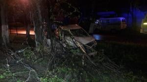 В дерево на полном ходу врезалась алматинка на Toyota