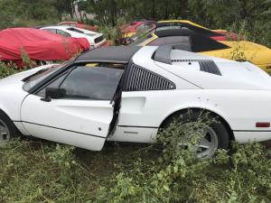 В США нашли брошенную в поле коллекцию Ferrari