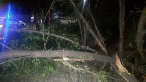 В Алматы двое человек погибли в жуткой аварии