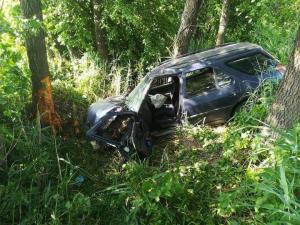 В Дрогичинском районе Peugeot врезался в дерево: пострадала водитель и 13-летняя пассажирка