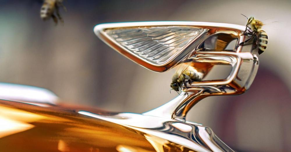 Bentley начнет выпускать мёд