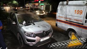 Часть дерева упала на Renault в Алматы и проломила крышу