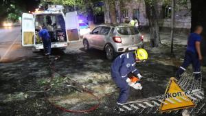 Часть дерева упала на Renault в Алматы и проломила крышу
